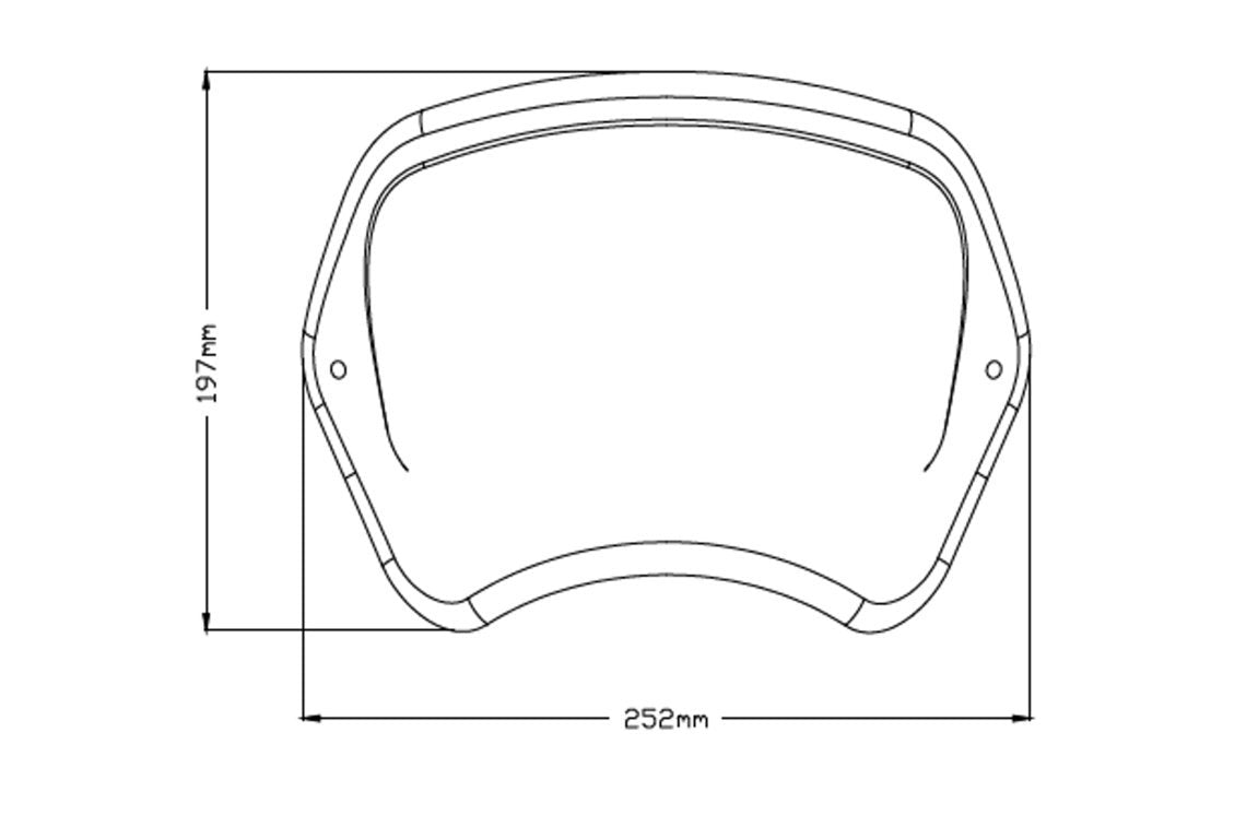PUIG Plaque Avant Bmw R Nine T carbone