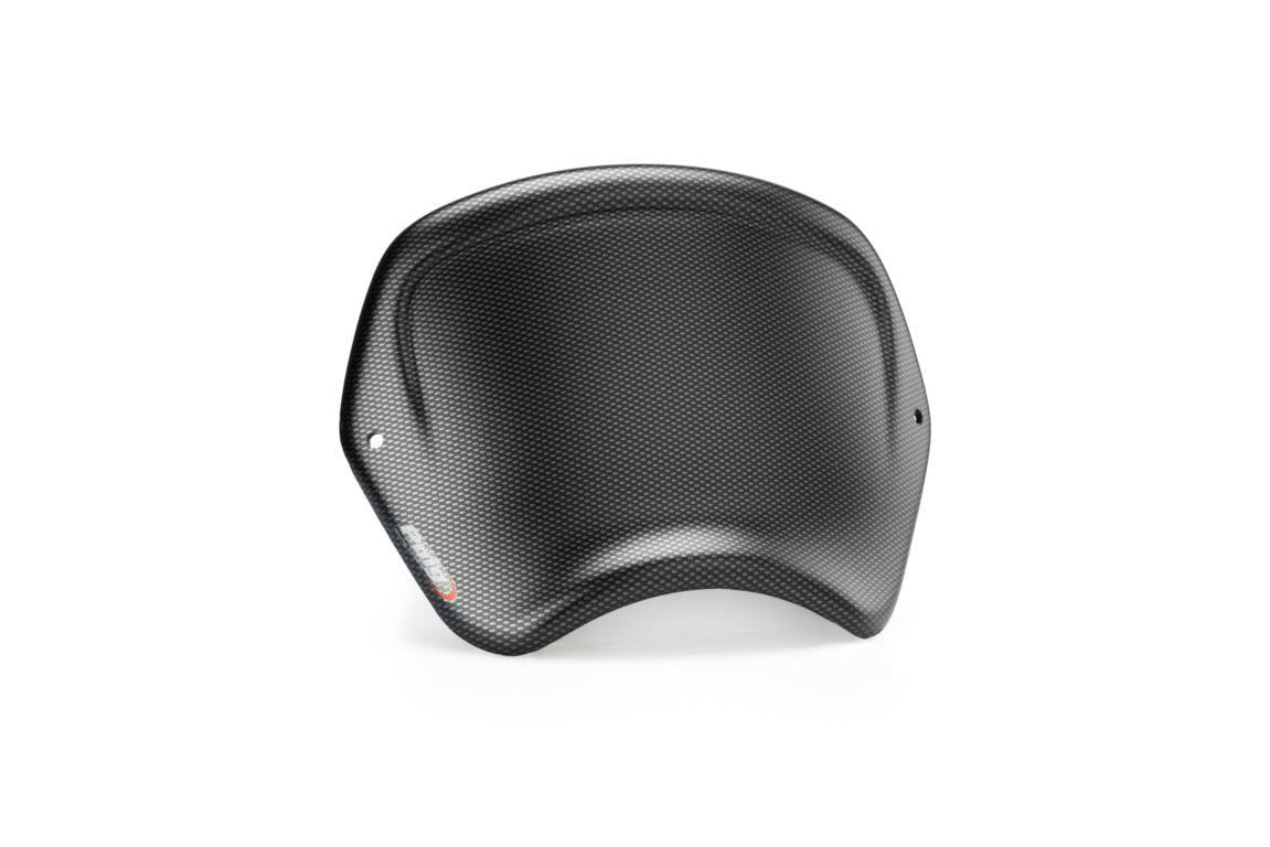 PUIG Plaque Avant Bmw R Nine T carbone
