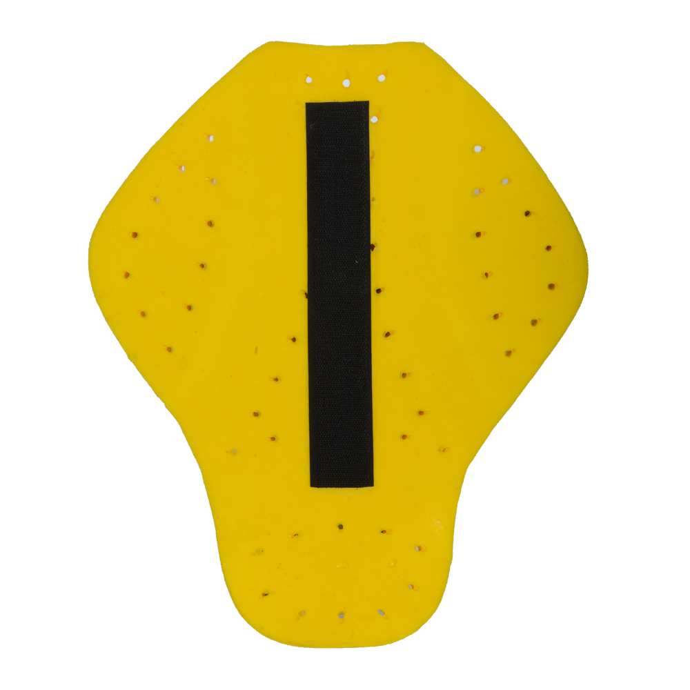 OXFORD Protection dorsale L2